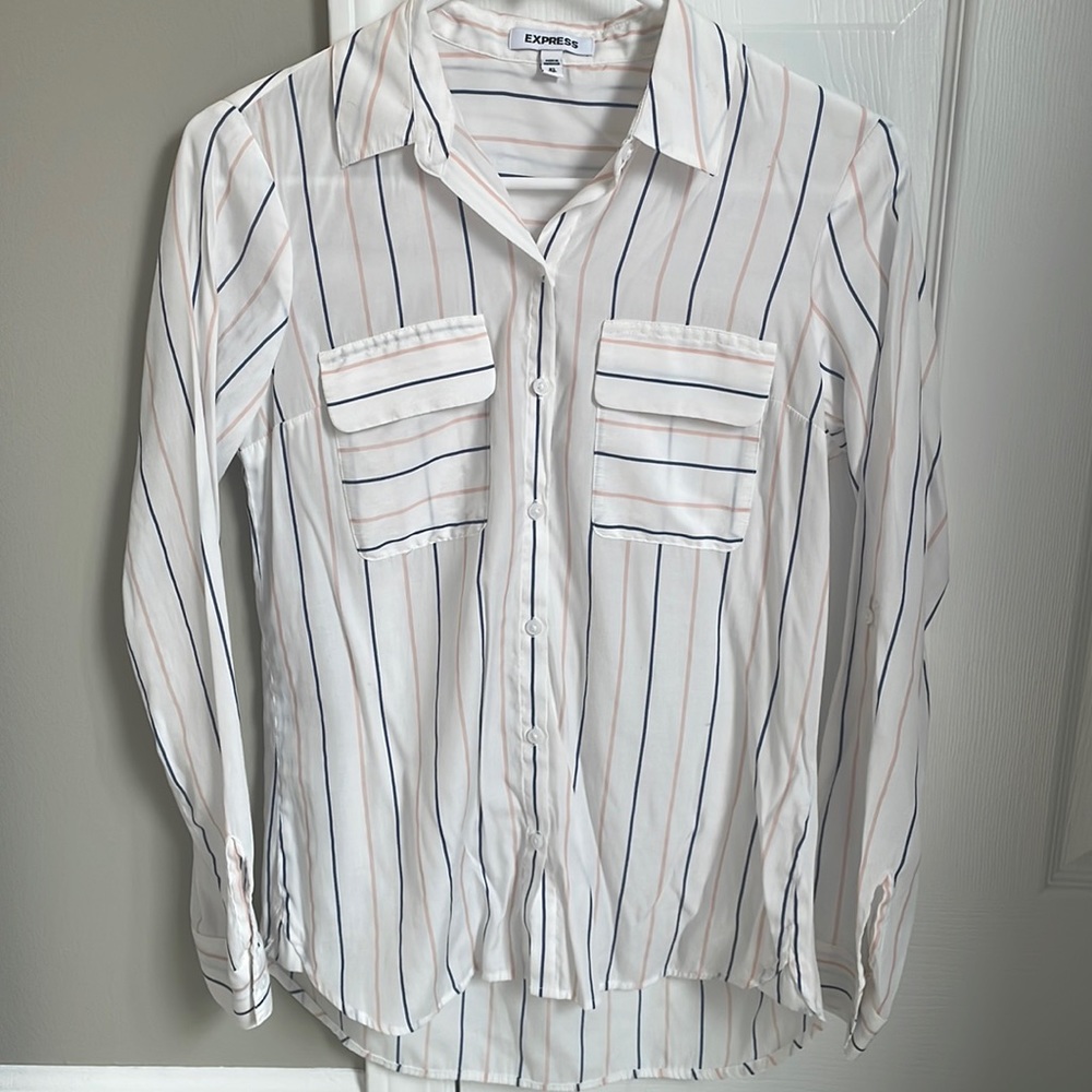 Express Blue and Pink Striped Blouse